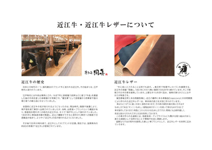 岡喜近江牛レザーと高島帆布で作った　 たてショルダーバッグ Mサイズ 【びわ湖ブルー・ブライトキャメル】